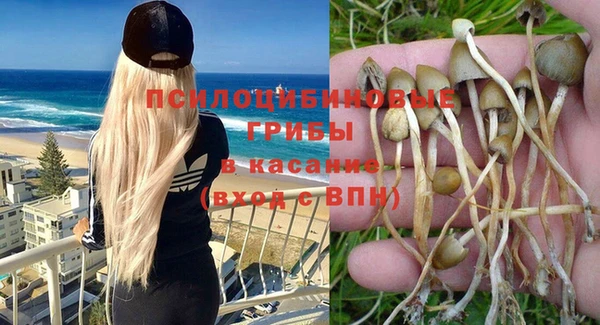 спайс Белокуриха